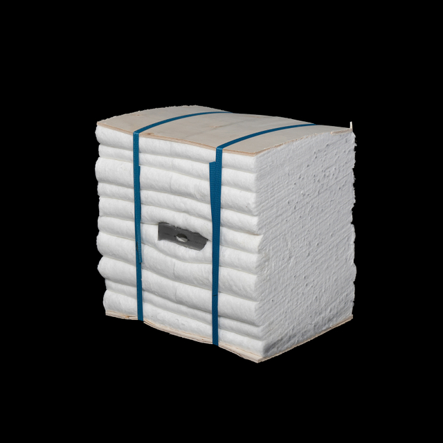 CERAMIC FIBER MODULE